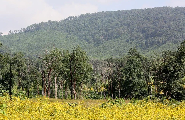 Kandhamal Sanctuary Odisha