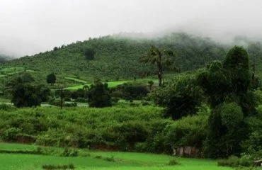 ଦାରିଙ୍ଗବାଡି