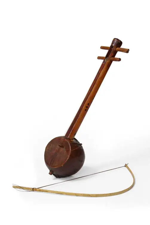Sarangi (Tribal Violine)