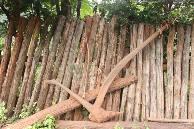 ନାଙ୍ଗେଲି