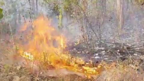 Burning forest in Kandhamal